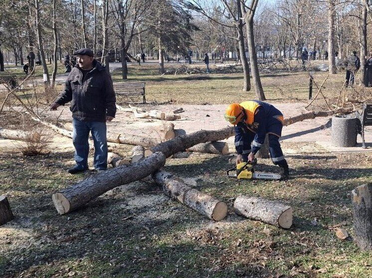 В сквере «Приозерный» в Ессентуках проходит большой субботник