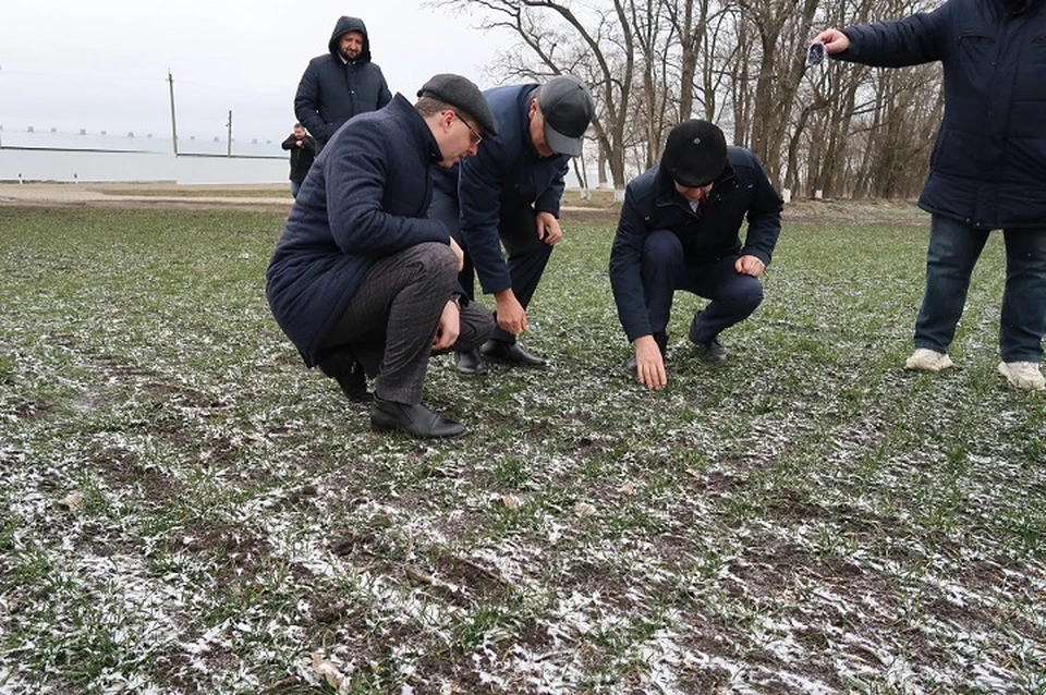 Весной на Ставрополье засеют яровыми культурами около 1 млн га0