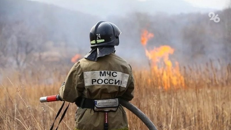 Число ландшафтных пожаров увеличилось в три раза в Железноводске в 2025 году