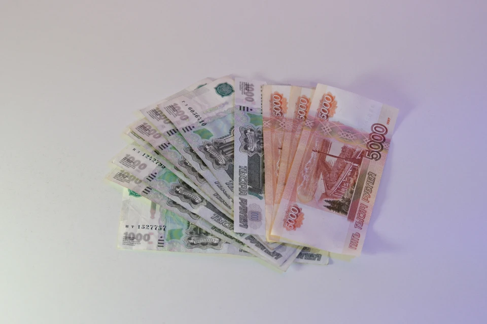 Директора фирмы на Ставрополье подозревают в неуплате налогов на 11 млн рублей0