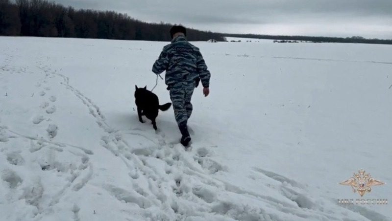 Липецкие полицейские кинологи нашли потерявшегося в лесу ставропольца