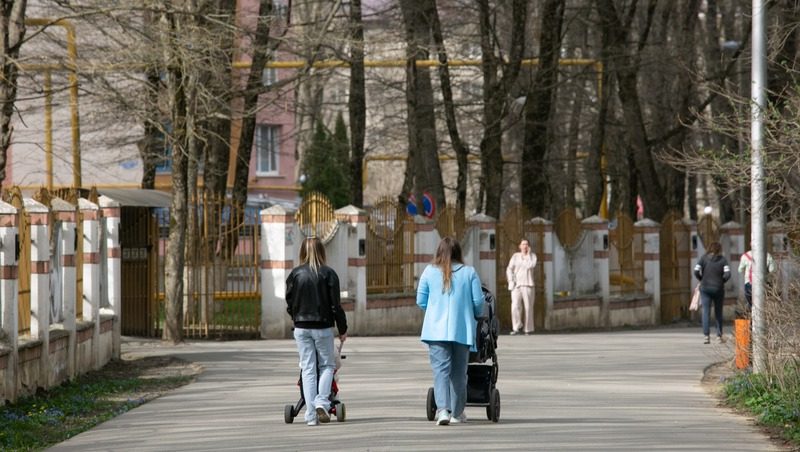 В Ставрополе стартовал приём заявлений на пособия для беременных студенток