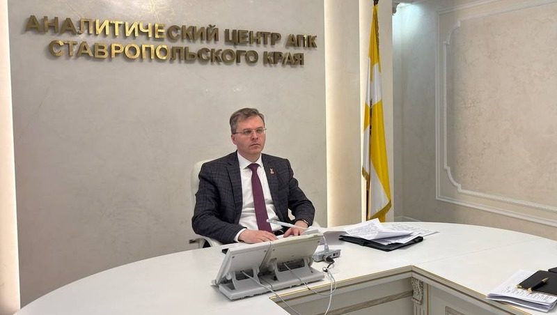 100% посеянных озимых культур взошли на Ставрополье