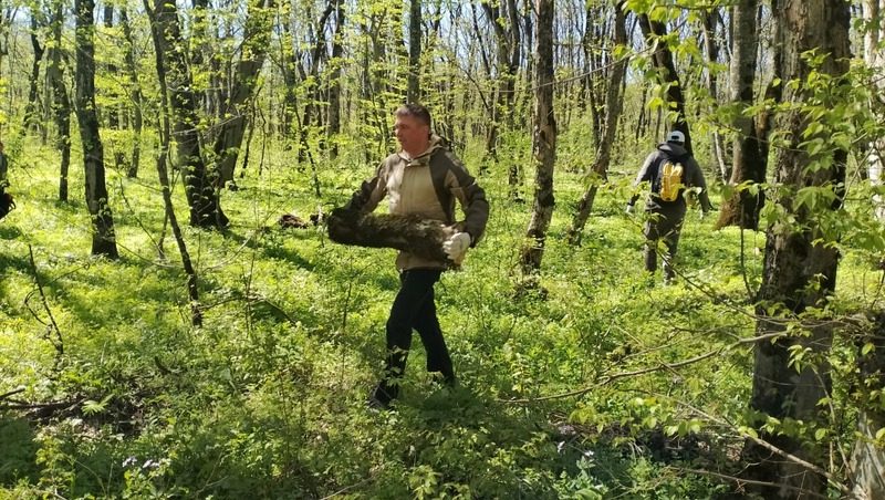 Около 150 чиновников и активистов очистили от мусора Русский лес в Ставрополе