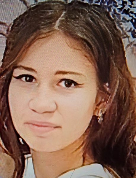 Полиция Михайловска ищет пропавшую 17-летнюю девушку