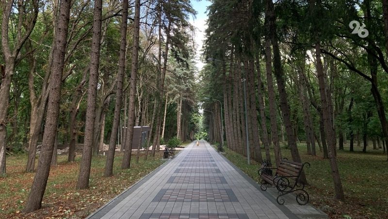 Скверы, парки и улицы Ессентуков обработают от клещей
