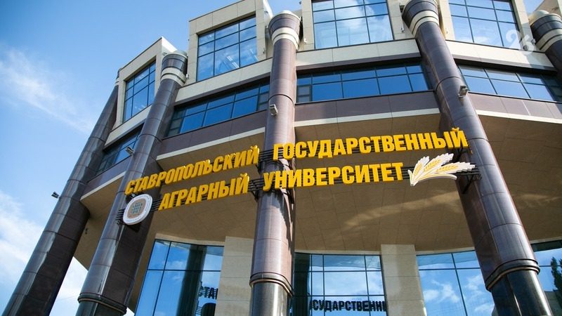 Сотрудники вуза из Ставрополя проведут мастер-классы по робототехнике в Египте