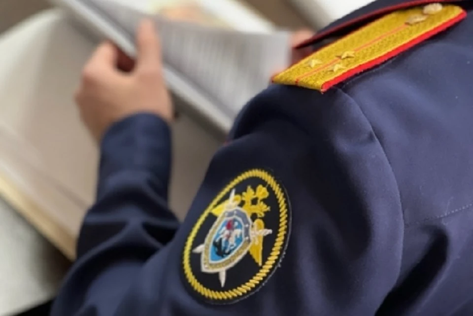 В Дагестане проверят частный детский сад, где избили ребенка0