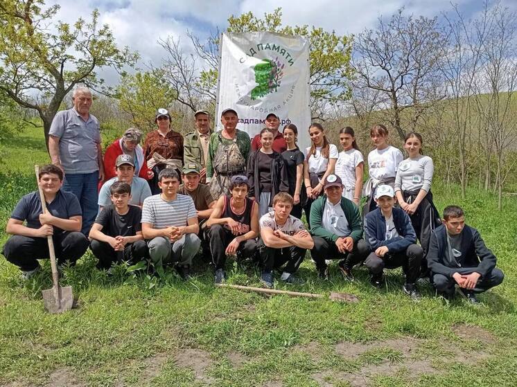 В Осетии высадили 2500 деревьев в память о военном лётчике и Герое СССР Ибрагиме Дзусове