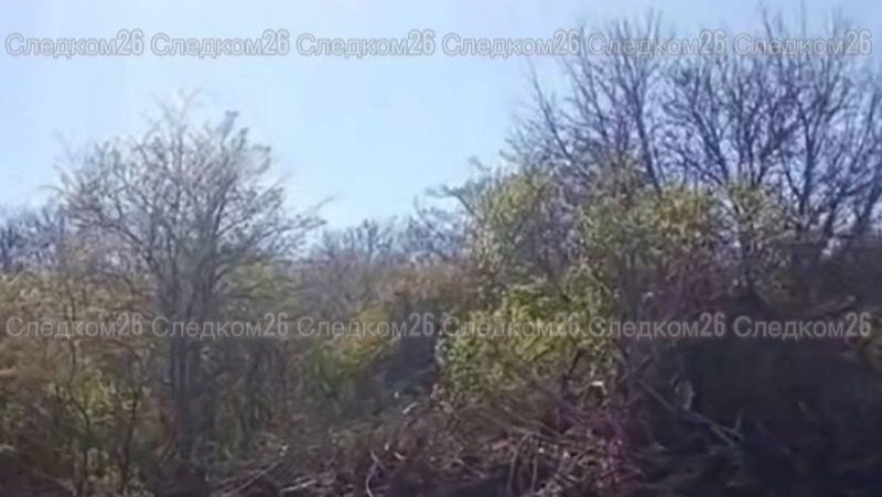 Вырубку деревьев на Татарское городище под Ставрополем проверяют следователи