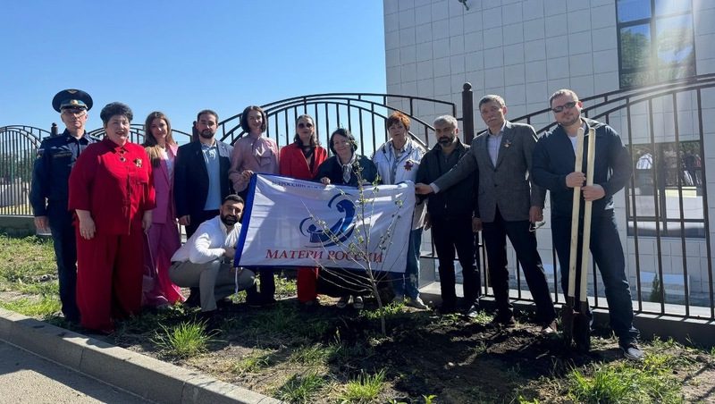 «Аллею Матерей» высадили около школы на улице Чапаева в Ставрополе