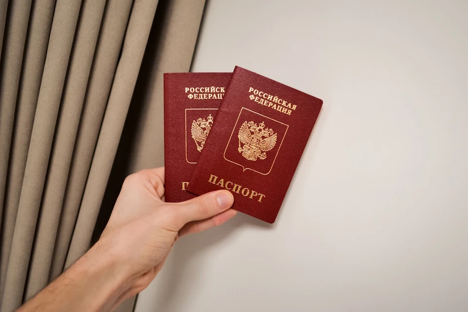 Армяне, азербайджанцы и украинцы чаще всего получали гражданство РФ на Ставрополье0