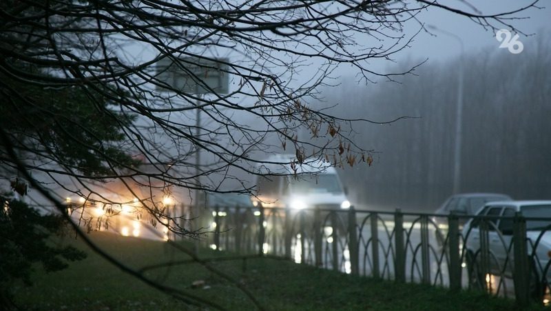 Буря повалила 15 деревьев, повредила два автомобиля и крышу школы на Ставрополье