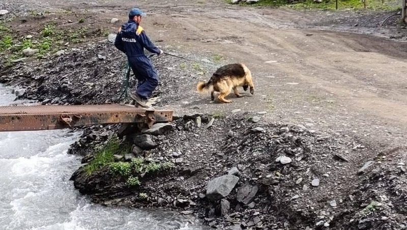 Четырёхлетнего мальчика, упавшего с моста в реку, ищут в Дагестане