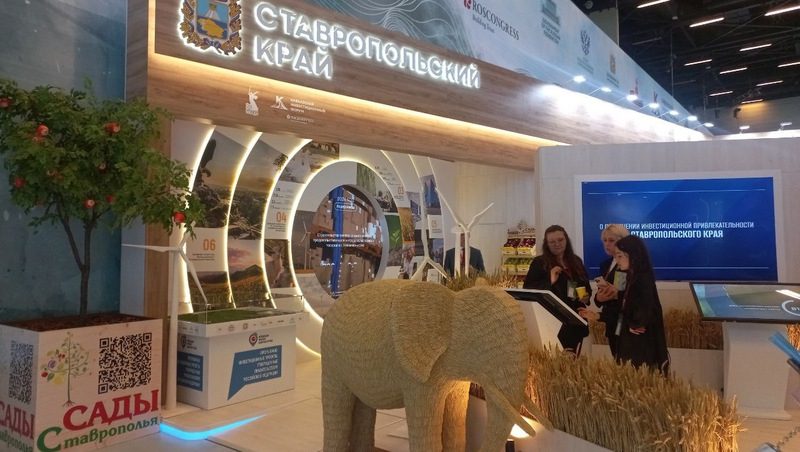 Деловая программа Кавказского инвестфорума стартовала на Ставрополье