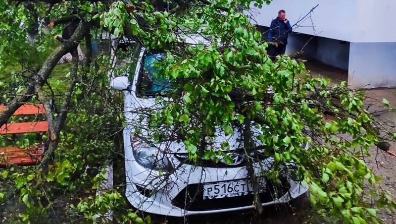 Два дерева упали на легковые автомобили из-за непогоды в Солнечнодольске