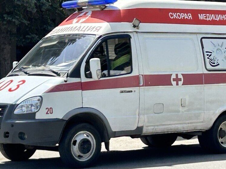 Дзюдоист из Осетии спас тонущего подростка в Мещерском парке Москвы