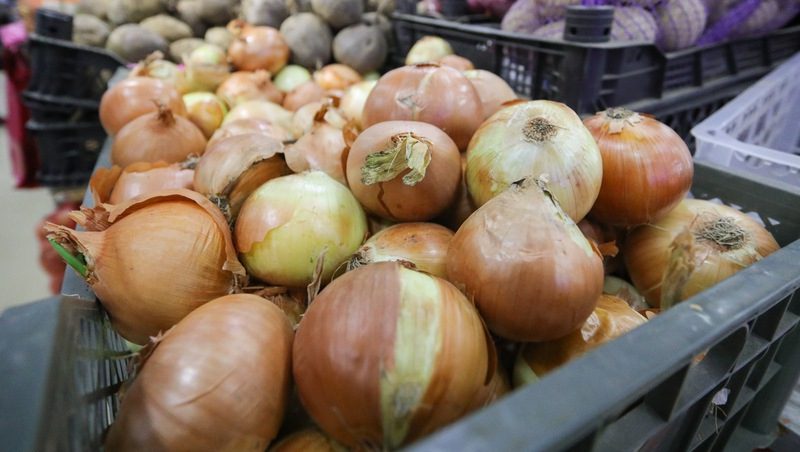 Ещё на 9% подорожал лук на Ставрополье
