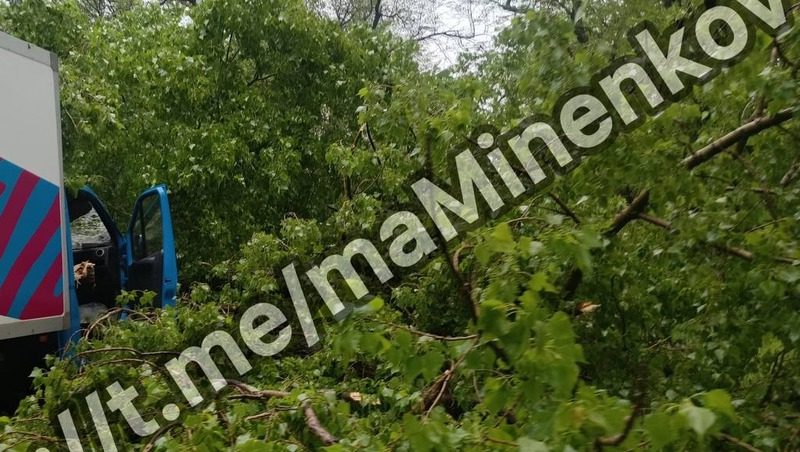 Крупная ветка упала на грузовой автомобиль в Невинномысске