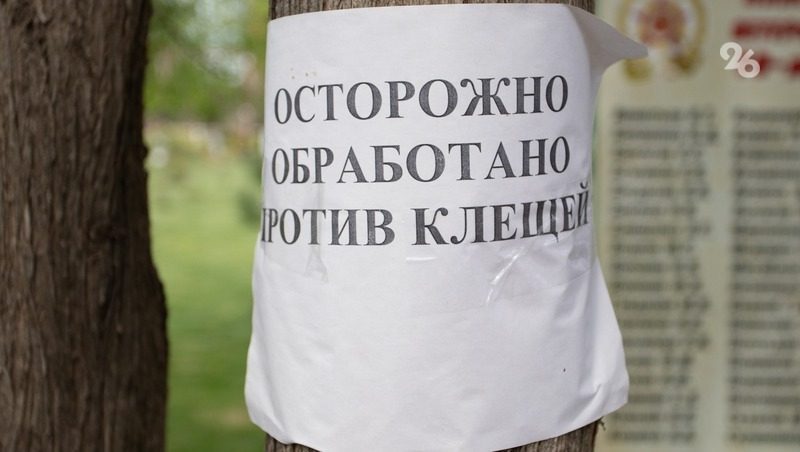 На Ставрополье клещи могут переносить крымскую лихорадку и болезнь Лайма