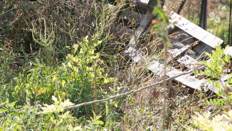 На Ставрополье ликвидировали 246 бесхозных скотомогильников благодаря прокуратуре