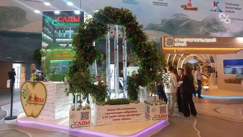 Около 1 тыс. человек посетили стенд Ставрополья в молодёжный день КИФ