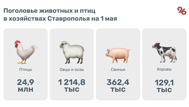 Около 1,5 млн животных содержат в хозяйствах Ставрополья