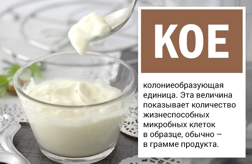 Почему биокефир лучше обычного и чем полезен термостатный йогурт: гид по кисломолочным продуктам1