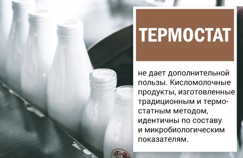 Почему биокефир лучше обычного и чем полезен термостатный йогурт: гид по кисломолочным продуктам4