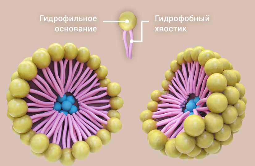 Почему мицеллярная вода не может быть средством «3 в 1»1