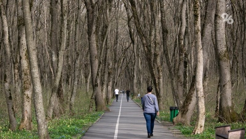 Подростки стали чаще проникать в заброшенный аквапарк в Краснодаре