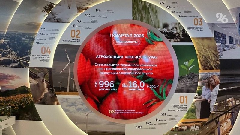 Политолог Ярошенко: КИФ — результат системной работы губернатора Ставрополья