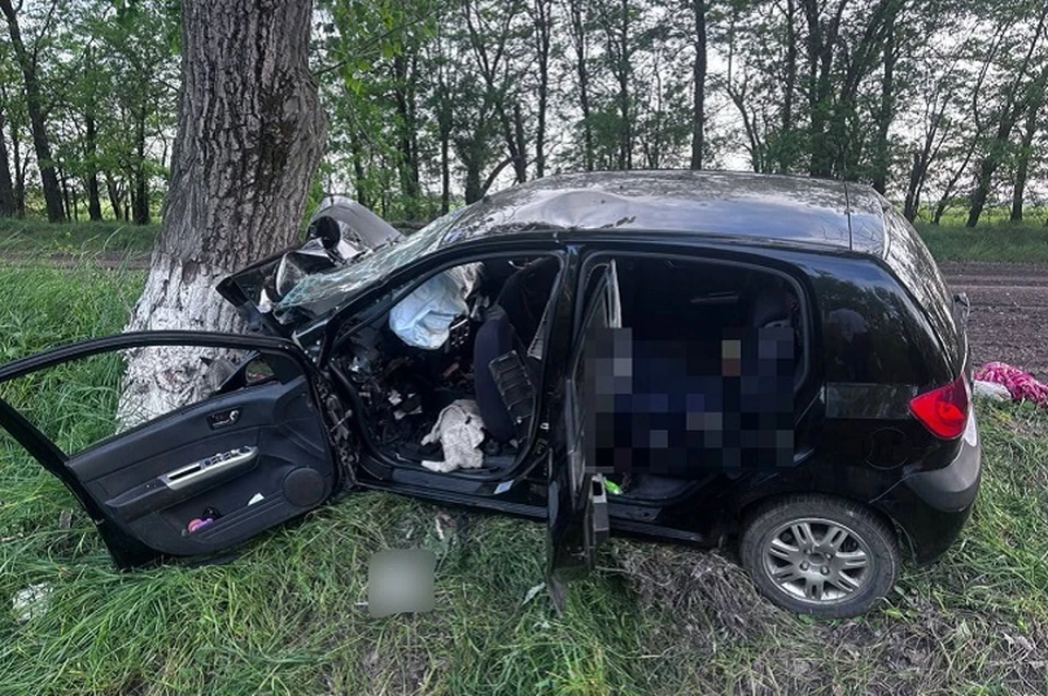Пожилой мужчина и девушка погибли в аварии на Ставрополье0