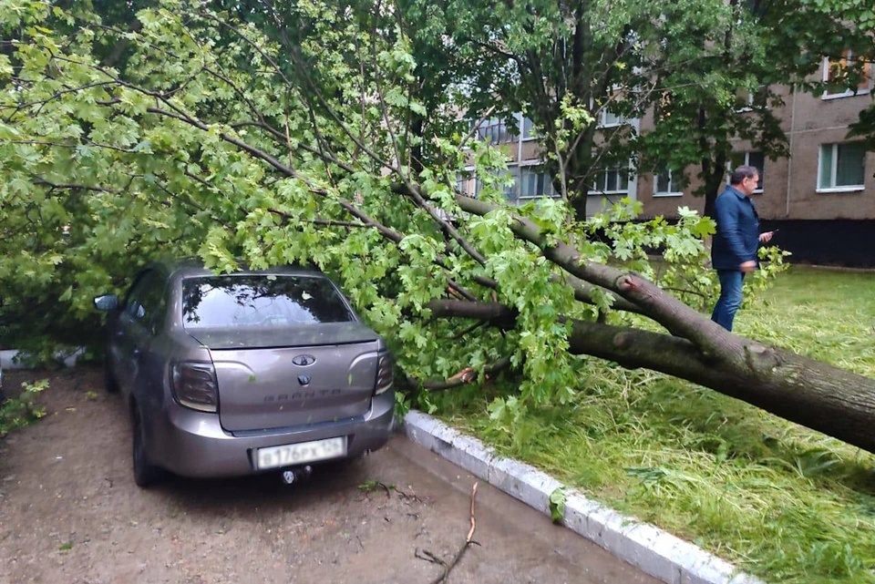 Проливные дожди привели к ряду ЧП в Изобильненском округе Ставрополья0