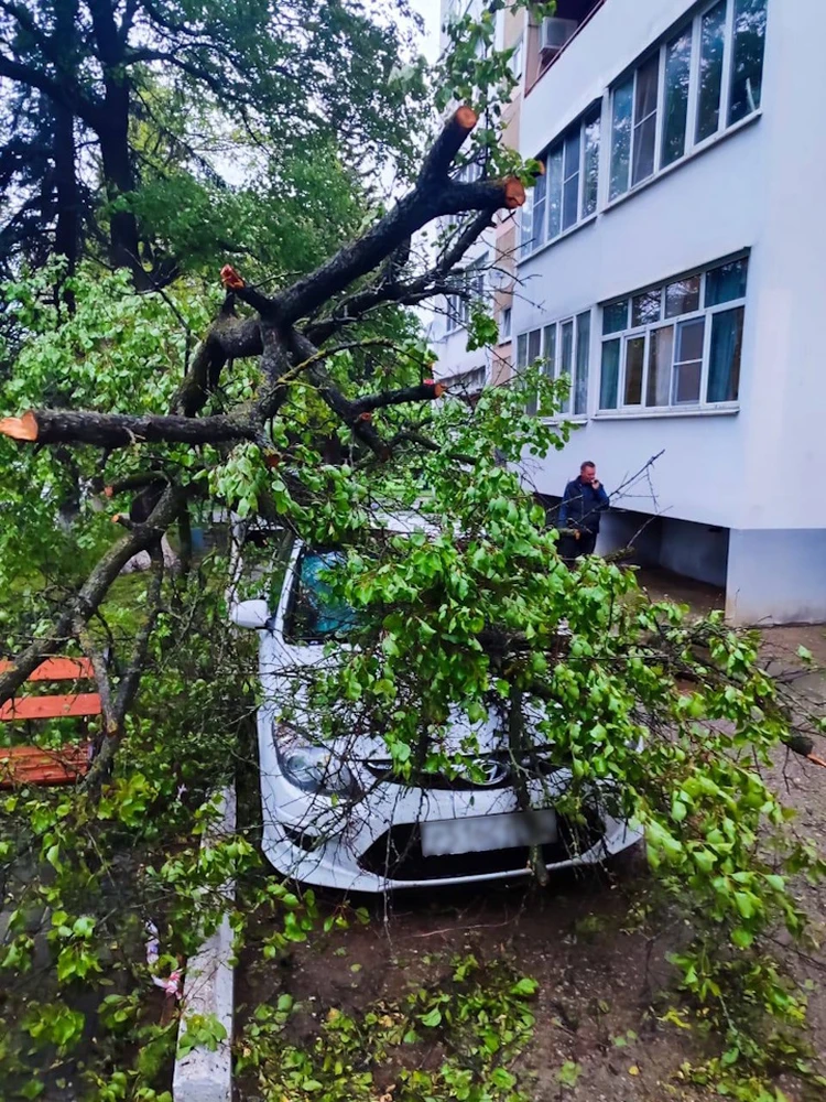 Проливные дожди привели к ряду ЧП в Изобильненском округе Ставрополья1