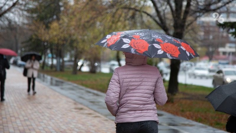 Сильные дожди с грозой и градом пройдут на Ставрополье 