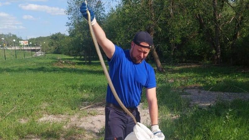 Спасатели отловили двух змей в домах на Ставрополье