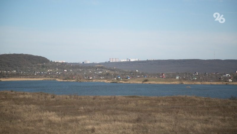 Ставрополье назвали одним из 12 «регионов-убежищ» для аллергиков в России