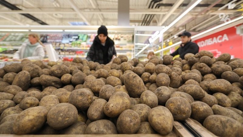 Уборка раннего картофеля началась в Предгорном округе