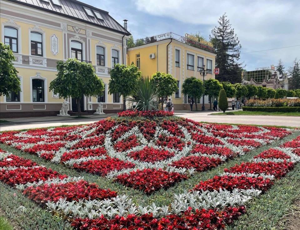В Кисловодске более 250 тысяч цветов украсят ковровые клумбы летом0