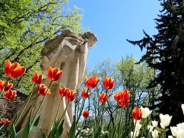 В Железноводске камеры видеонаблюдения «поймали» цветочную воровку