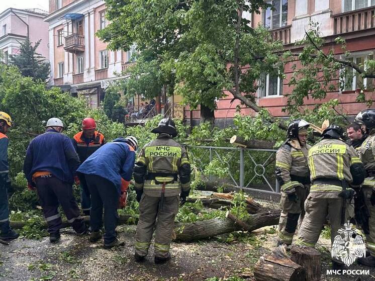 Во Владикавказе проводят проверку после падения дерева на машину с людьми в непогоду