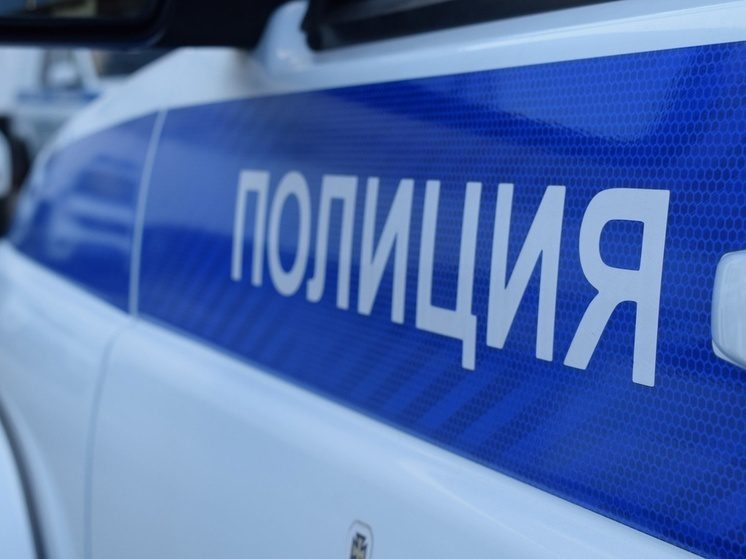 Жительница Черкесска пыталась обмануть полицейских, чтобы не платить кредиты