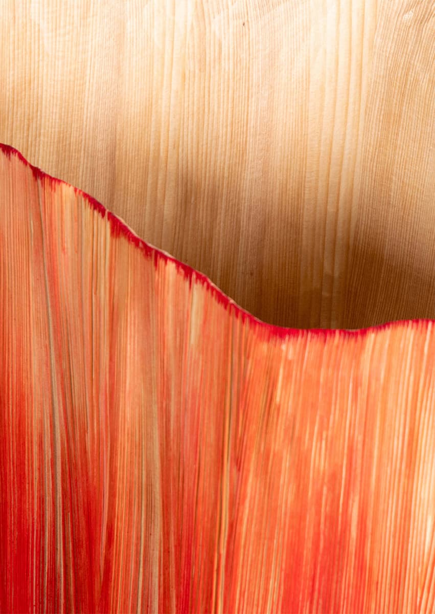 8 работ финалистов LOEWE FOUNDATION Craft Prize