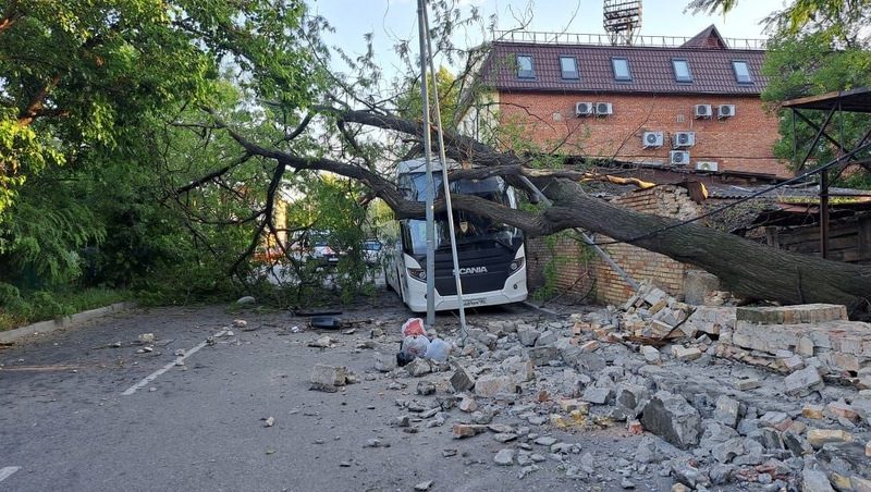 Дерево упало на автобус в Минераловодском округе