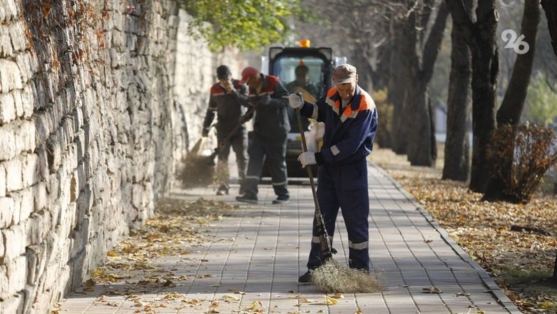 Дворники, повара и продавцы попали в топ дефицитных профессий на Ставрополье