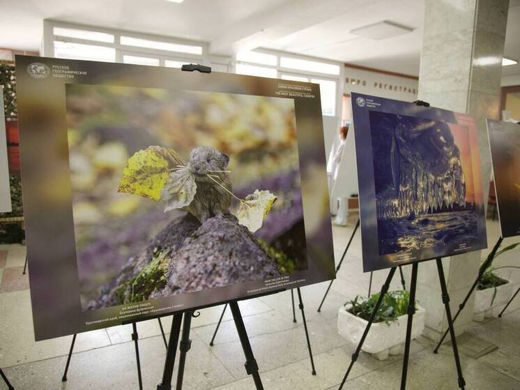 Фотовыставка РГО «Самая красивая страна» открылась в Пятигорске в День России