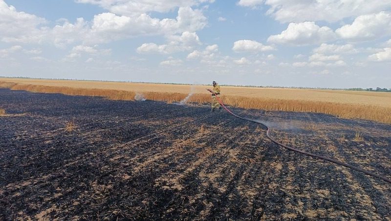 Горевшее в Курском округе поле потушили спасатели