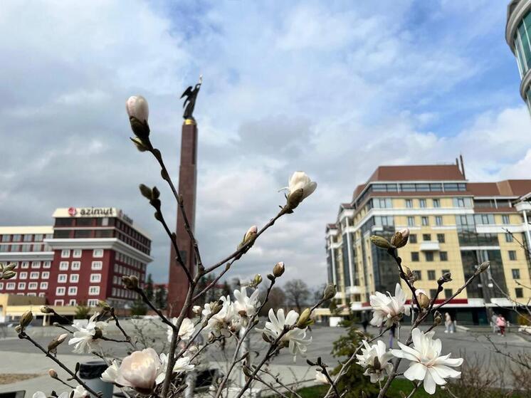 Инвестиции и поддержка малого бизнеса на Ставрополье в условиях экономических вызовов — интервью с министром экономического развития региона Антоном Дорониным
