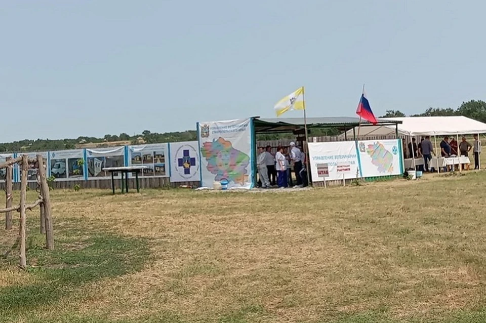 На Ставрополье прошли межрегиональные учения ветеринарных служб0
